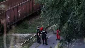 13 جريحاً في تصادم قطارين في بلغراد