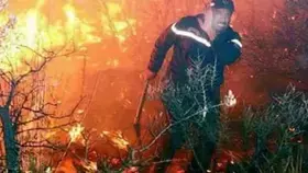 سليانة: السيطرة على حريق اندلع بجبل مزاتة من معتمدية برقو