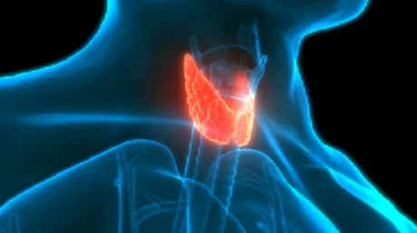 علامات تشير إلى اختلال عمل الغدة الدرقية