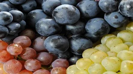 خبير تغذية يحذر فئة من المرضى من تناول العنب