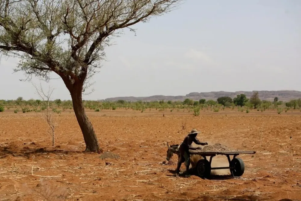 الجامعة العربية تؤكد أهمية التعاون لمواجهة التصحر والجفاف تدهور الأراضي