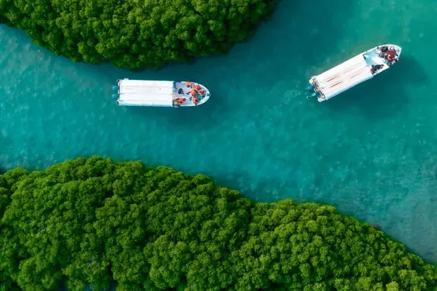 السياحة السعودية: نهضة اقتصادية مذهلة تقودها «رؤية 2030» من العراقة إلى الريادة