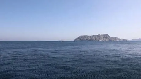 الخارجية الهندية: 10 سفن هندية عبرت مضيق هرمز منذ بداية أزمة الشرق الأوسط