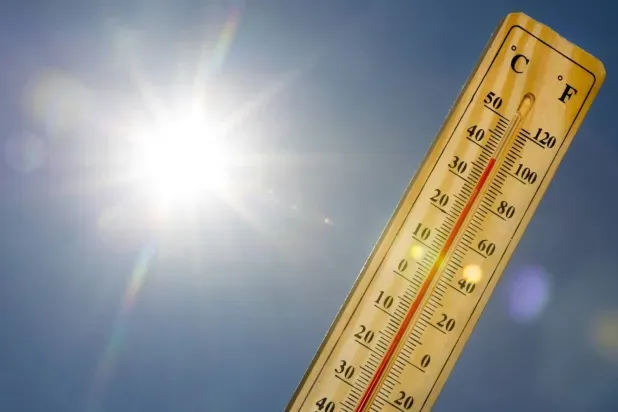 مرضى الخرف أكثر تأثراً بتداعيات الحر