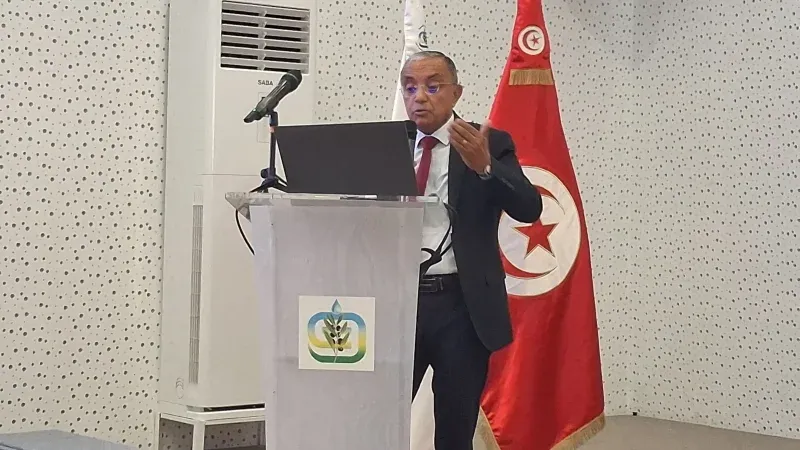 وزارة الفلاحة: كل البذور المعتمدة في زراعة الحبوب في تونس منتجة محليا
