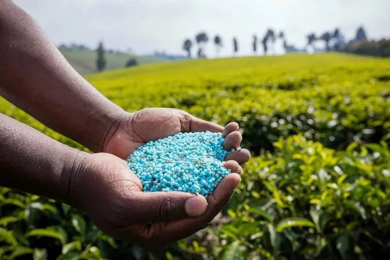 الأسمدة والشراكات الاستراتيجية توسع حضور المغرب في أمريكا اللاتينية