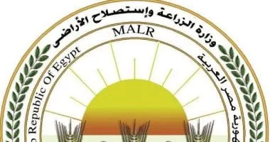 "الزراعة" ترد على فيديو زيادة وزن الموز: ادعاءات غير علمية تثير البلبلة
