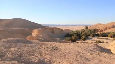 دراسة: ممر أخضر في بلاد الشام ساعد الإنسان العاقل على الخروج من إفريقيا قبل 80 ألف عام