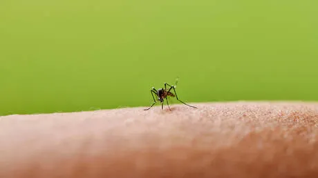 لدغة حشرة صغيرة قد تخفي مرضا خطيرا.. علامة تحذيرية لا يجب تجاهلها