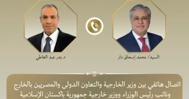 وزير الخارجية يبحث مع نظيره الباكستانى التطورات الإقليمية والجهود المشتركة