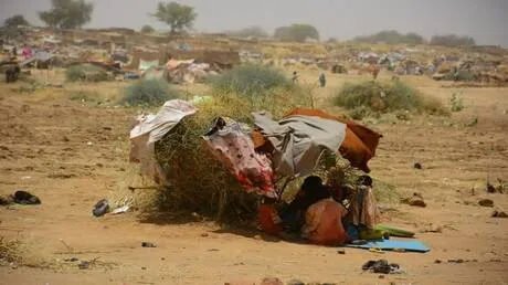 مرصد عالمي:  قرابة 20 مليون شخص يعانون من  "الجوع الشديد" في السودان