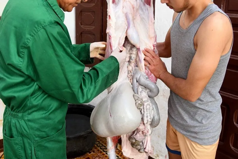 خبراء يحذرون المغاربة من مخاطر الحرارة على اللحوم في عيد الأضحى