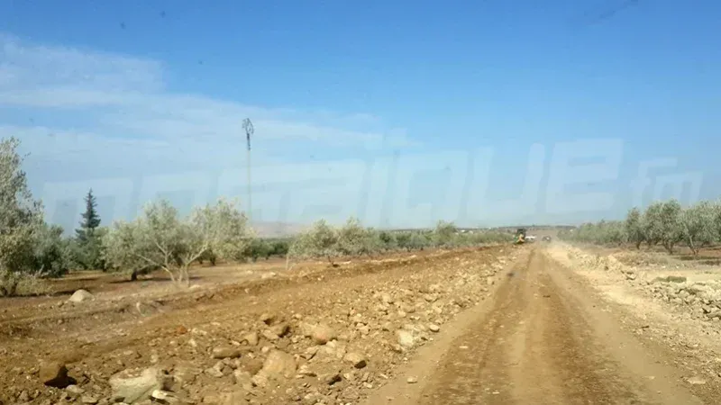 بوبكري: مسح المسالك الفلاحية متأخّر وندعو إلى ترفيع أسعار الحبوب