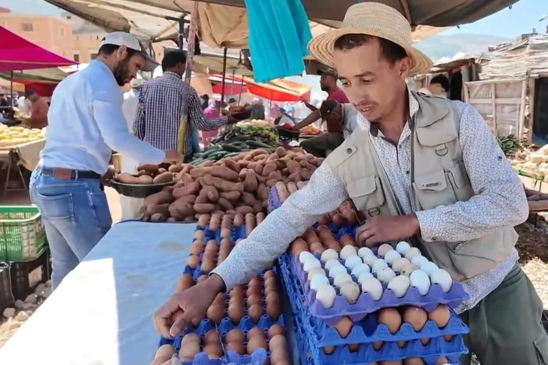ركود يضرب سوق الدواجن