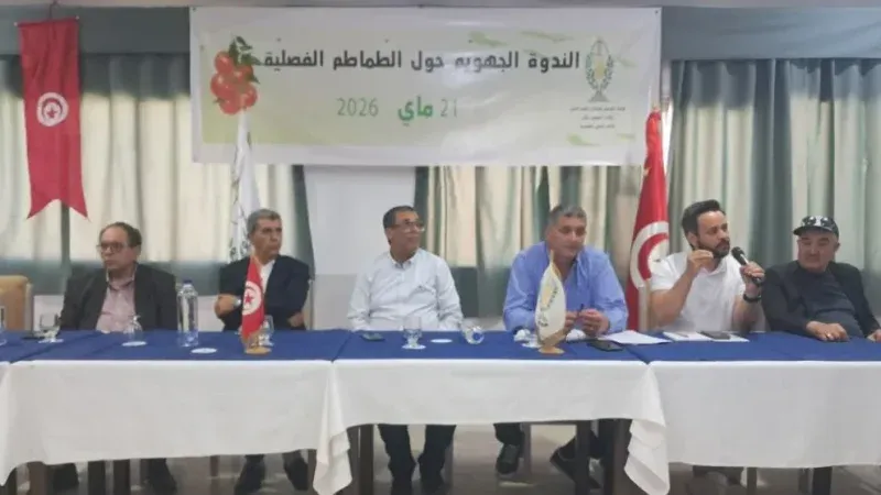 اتحاد الفلاحة بنابل:قطاع طماطم التحويل يحافظ على استقراره رغم الصعوبات