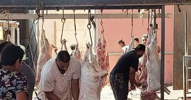 طوال العيد.. فتح المجازر الحكومية بالقاهرة مجانا لاستقبال أضاحي المواطنين