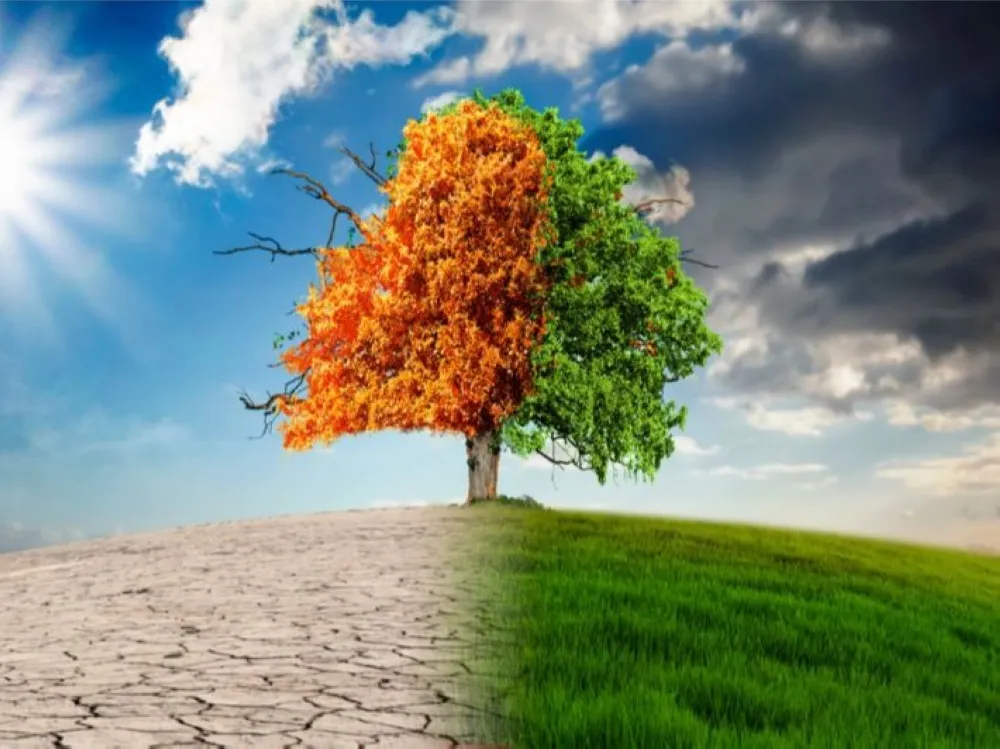 بفعاليات توعوية.. "بيئة الباحة" تشارك في اليوم العالمي لمكافحة التصحر والجفاف 2026