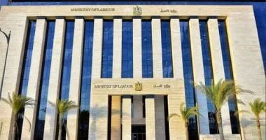 وزارة العمل تعلن 500 فرصة عمل براتب 8600 جنيه في كبرى شركات ضفائر السيارات