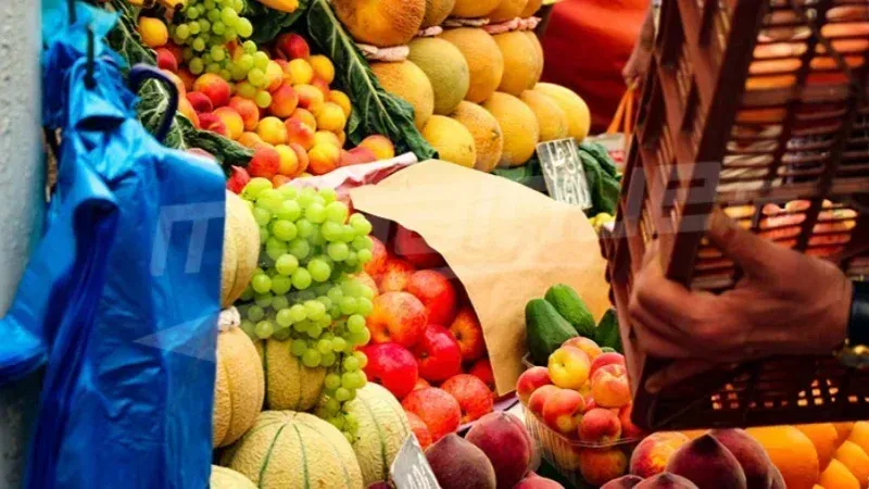 بعائدات تجاوزت 88 مليون دينار.. غلال تونس تصل إلى 27 وجهة عبر العالم