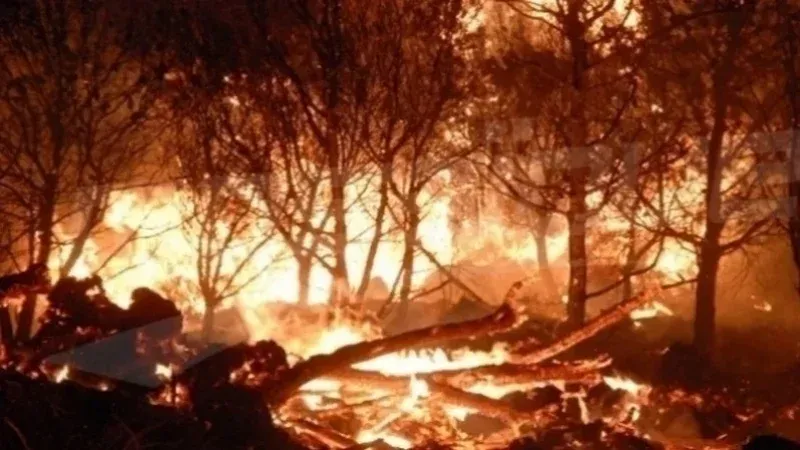الكاف: الجهود متواصلة برا وجوا لإخماد حريقي جبلي الطويلة وتكرونة