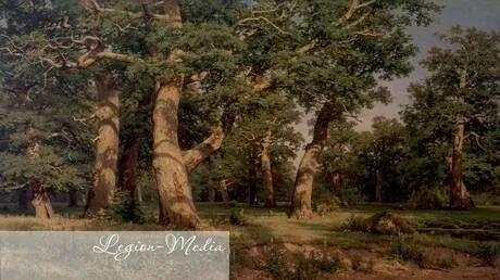 بطرسبورغ... معرض استثنائي يجمع روائع إيفان شيشكين في المتحف الروسي