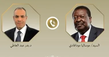 اتفاق مصري كيني على تحقيق الاستقرار في القرن الأفريقي والبحر الأحمر
