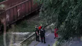 13 جريحاً في تصادم قطارين في بلغراد