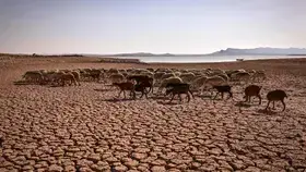 الزراعة المغربية في مهب أسوأ دورة جفاف منذ مطلع الثمانينات