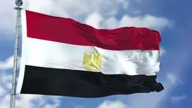 ما علاقة الناموس بنشوب حريق في مصحة نفسية بمصر