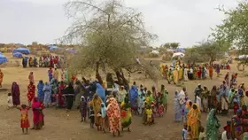 التحقيقات الجنائية تكشف اعتداء منظما ومنهجيا في السودان