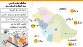 10% نموا بسجلات التجارة الإلكترونية -  