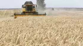 الاتحاد الإفريقي يُشيد باتفاق روسيا وأوكرانيا لاستئناف تصدير الحبوب