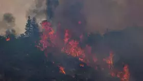4 قتلى في أكبر حريق يجتاح غابات كاليفورنيا