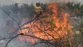 حرائق الغابات تدمر ثاني أكبر مساحة في أوروبا