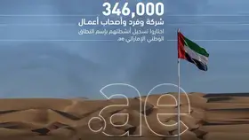 346 ألف موقع إلكتروني يحمل علامة «.ae»