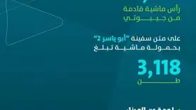 ميناء جازان يستقبل أكثر من 19 ألف رأس ماشية