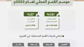 القصيم تتصدر إنتاج القمح السعودي