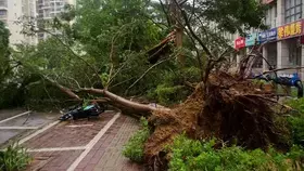 إعصار جنوب الصين يخلف 38 قتيلاً ومصاباً