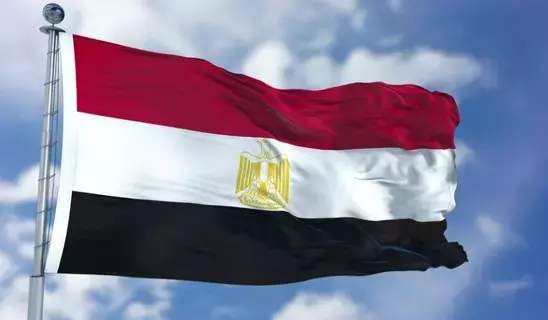 ما علاقة الناموس بنشوب حريق في مصحة نفسية بمصر