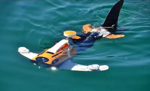 روبوتات أسماك تستكشف التلوث