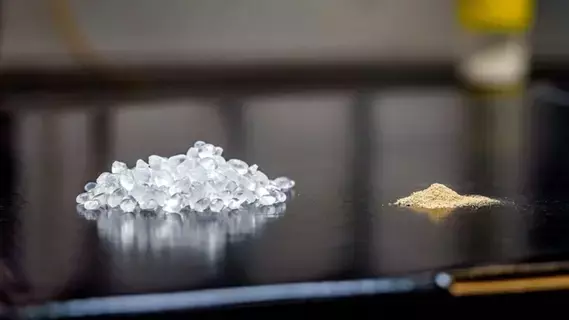 بلاستيك حي يحتوي على جراثيم بلاستيك حي يحتوي على جراثيم