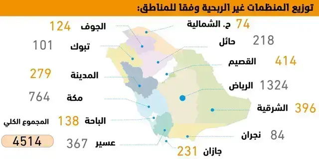 6.01 مليارات ريال تعاقدات القطاع غير الربحي مع جهات حكومية -  