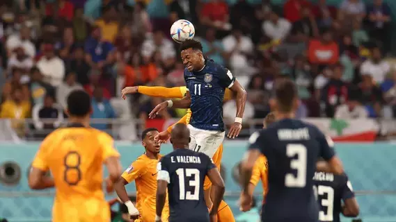 قطر تودع كأس العالم بعد تعادل هولندا والإكوادور