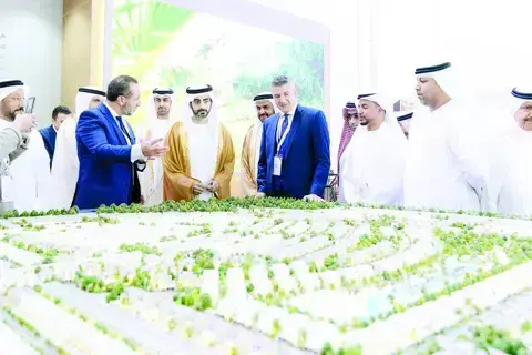 372 مشروعاً عقارياً في معرض إيكرس 2024 بالشارقة 372 مشروعاً عقارياً في معرض إيكرس 2024 بالشارقة