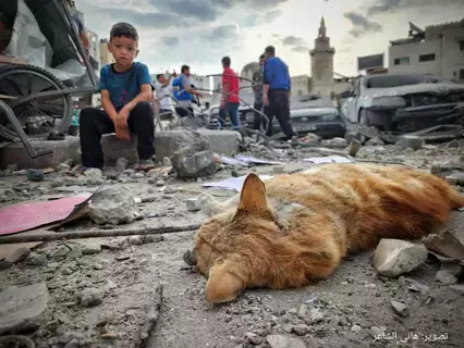 30800 فلسطيني ضحايا الحرب الإسرائيلية على غزة