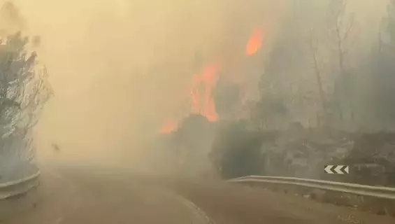 فيديو |  اندلاع حرائق في شمال إسرائيل بعد قصف من جنوب لبنان