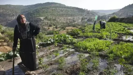 قرية فلسطينية مدرجة على قائمة التراث العالمي «مهددة بالاستيطان»