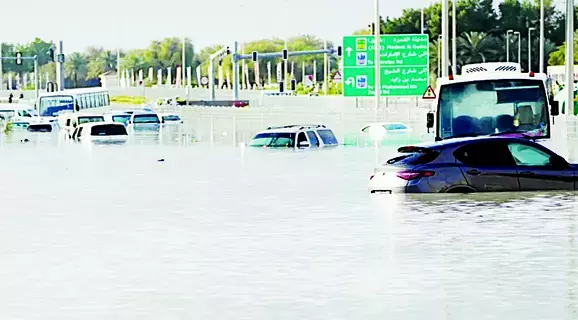 شركات التأمين.. أرباح «التعطل عن العمل» تذوب في أمطار «الهدير»