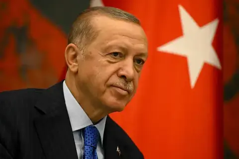 أردوغان: تركيا مستعدة للمساعدة على وقف إطلاق النار في غزة