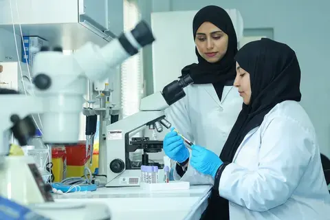 21 % نمواً لمشاركة المرأة بسوق العمل الإماراتي 2024